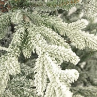 Ель GrandSiti Адель 2.1 м фото-2