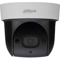 IP-камера Dahua DH-SD29204UE-GN