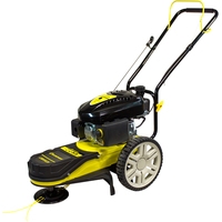 Газонокосилка Champion LMH5629