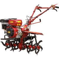 Мотокультиватор бензиновый FERMER FM-1617MXL (без колес)