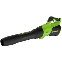 Ручная воздуходувка Greenworks GD40BG3 2408207 (без АКБ) - фото1 Ручная воздуходувка Greenworks GD40BG3 2408207 (без АКБ) - фото1