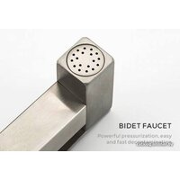 Гигиенический душ Gappo G7299-20 фото-2